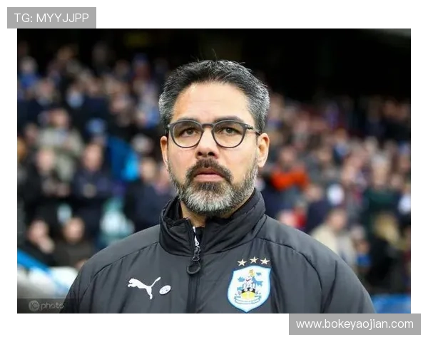 罗马诺：多特利兹联沙特关注多克希